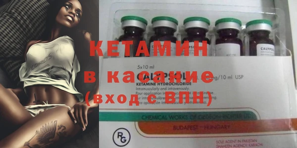 гашик Козловка
