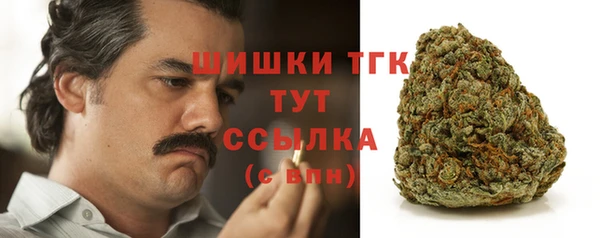гашик Козловка