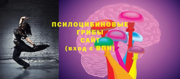 сатива Касимов