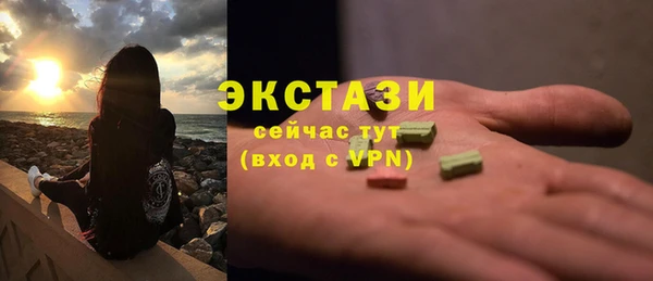 гашик Козловка