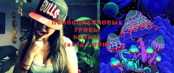 гидропоника Карталы