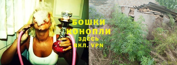 ГАЛЛЮЦИНОГЕННЫЕ ГРИБЫ Киренск