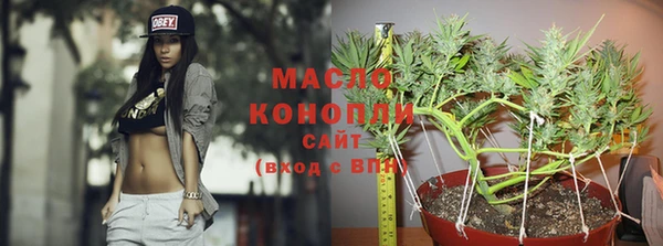 мдпв Пересвет