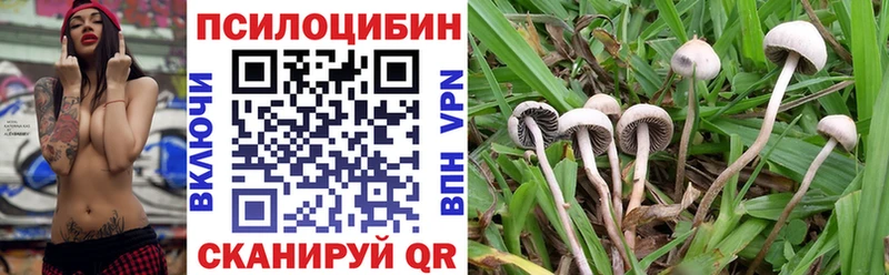 Псилоцибиновые грибы GOLDEN TEACHER  Костерёво 